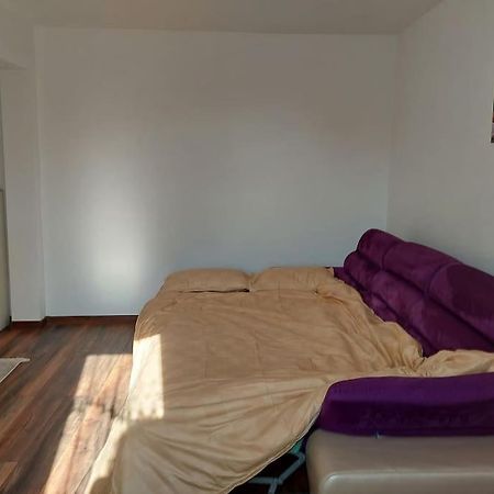 Apartament In Sighetu Marmatiei Lejlighed Eksteriør billede
