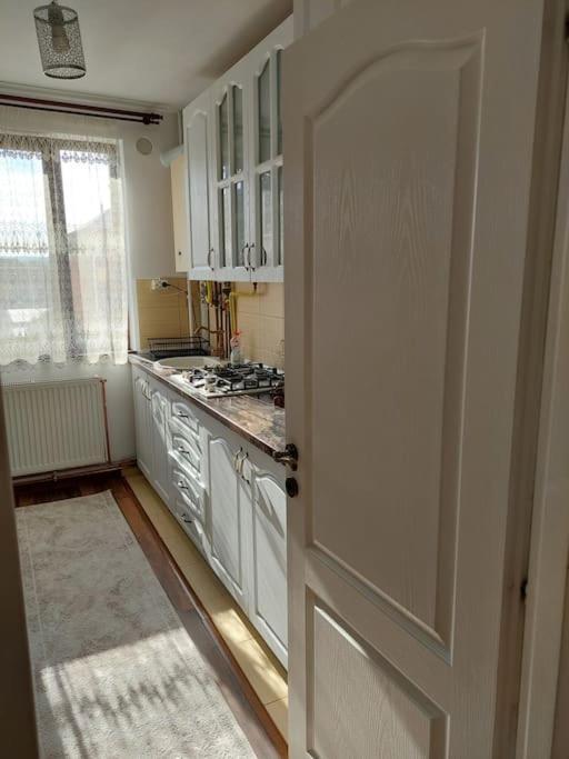 Apartament In Sighetu Marmatiei Lejlighed Eksteriør billede