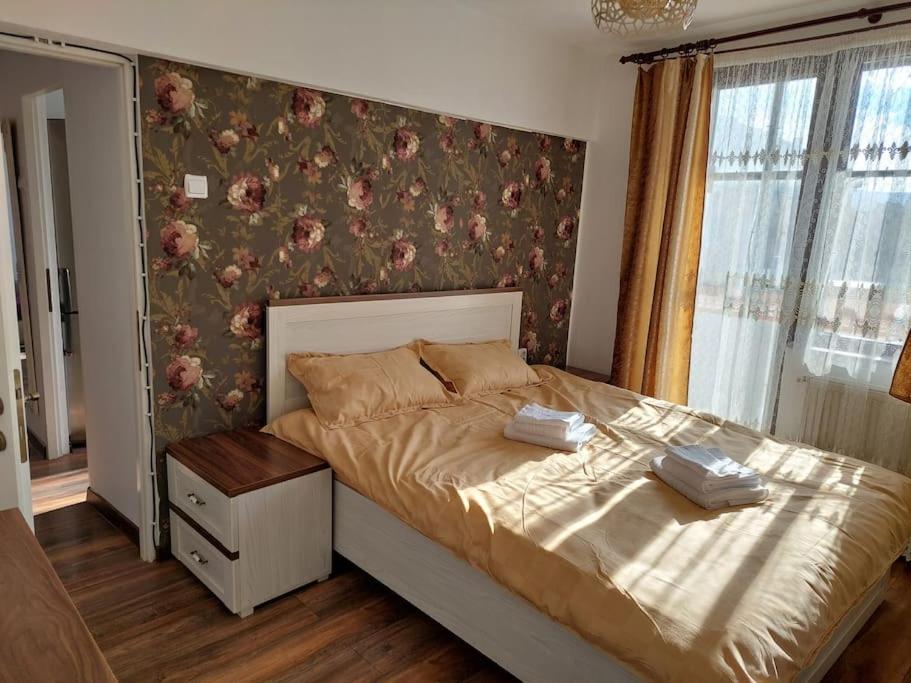 Apartament In Sighetu Marmatiei Lejlighed Eksteriør billede